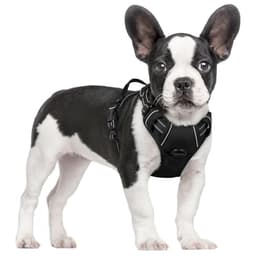 rabbitgoo No-Pull Dog Harness (S)