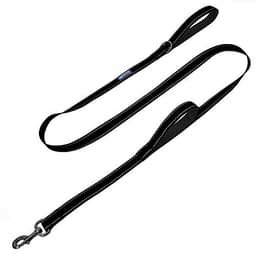 Max and Neo Double Handle Traffic Leash (6 ft)