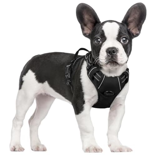 rabbitgoo No-Pull Dog Harness (S)