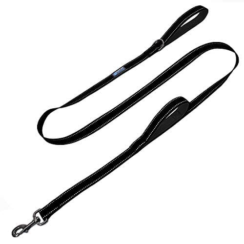 Max and Neo Double Handle Traffic Leash (6 ft)
